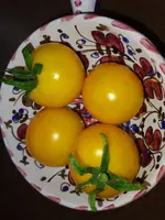 IMG_20230717_105617.webp
