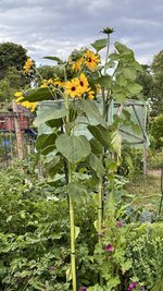 IMG_6715.jpeg