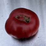 IMG_6724.jpeg