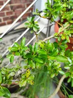 IMG_20230718_145402.webp
