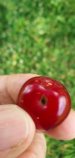 20230718_160914.jpg