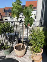 IMG_9687.jpeg