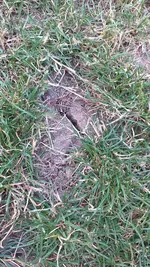 IMG-20230718-WA0011.webp