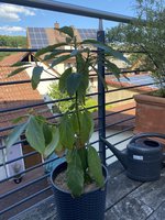 IMG_1793.jpeg