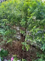 2023-07-19 00 29 52.webp