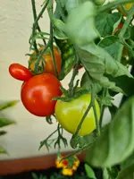 20230719_080212.webp