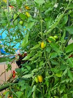 20230719_080405.jpg