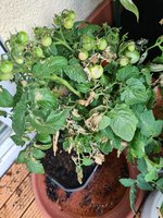 20230719_080627.jpg