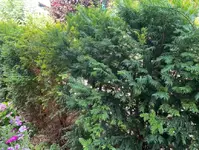 2023-07-19 12 55 28.webp
