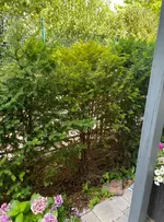 2023-07-19 12 56 09.webp