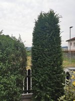 IMG_20230719_154437.jpg