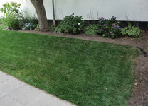 Beet uWN 20230716.jpg