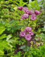 IMG_20230719_135933.webp