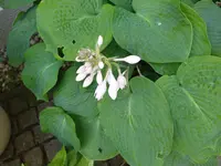 IMG_20230622_125431.webp