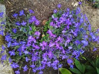 IMG_20230624_132122.jpg