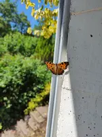 IMG_20230624_120450830.webp