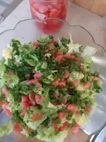 IMG_20230719_182201.webp
