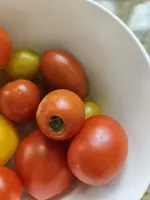 20230720_163932.jpg
