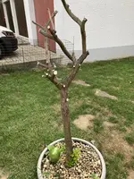 IMG_1876.webp