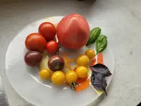 20230720_184517.jpg