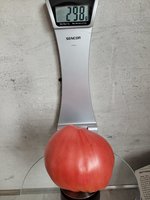 20230720_184538.jpg