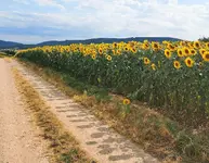 IMG_20230720_163734.webp