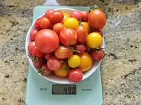 20230721_153844.jpg