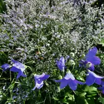 20230714_091629.webp