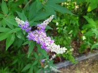 IMG_20230721_093649.jpg