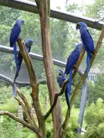 P1020010.webp