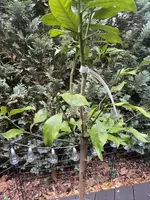 E0DF231D-3CB2-449F-9CC5-DD178936A246.webp