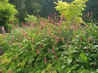 IMG_20230721_091824_1.webp