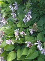 IMG_20230721_090311.webp