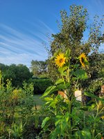 20230722_063448.jpg