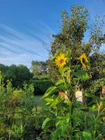 20230722_063448.webp