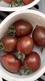 IMG_6874.jpeg