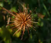 2023GeumS.webp