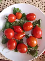 IMG_20230721_103222.webp