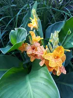 20230720_181600.webp