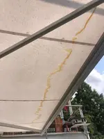 Markise gelber Streifen.webp