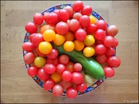 c083.webp