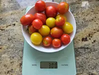 20230723_084900.jpg