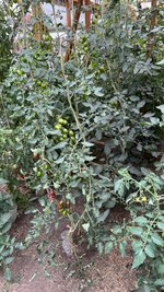 IMG_6913.jpeg