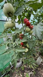 IMG_6927.jpeg