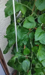 IMG_20230723_233553.webp