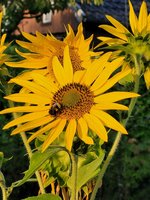 20230722_065910.jpg