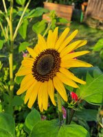 20230722_065904.jpg