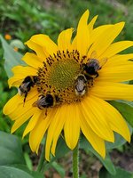 20230714_171305.jpg