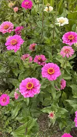 IMG_6899.jpeg