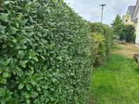20230724_135326.webp
